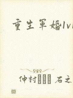 重生军婚1v1