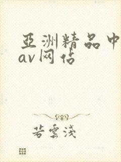 亚洲精品中文网av网站