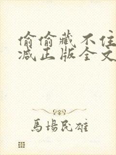 偷偷藏不住无删减正版全文阅读免费