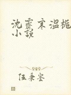 沈霁寒温栀妍的小说