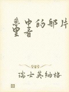 梦中的那片海哪里看封面