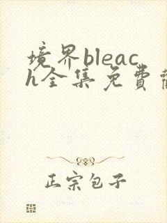 境界bleach全集免费观看