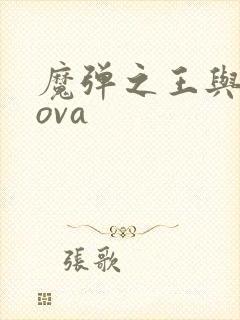 魔弹之王与战姬ova封面