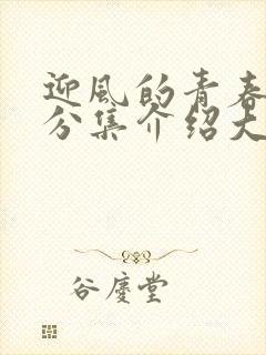 迎风的青春剧情分集介绍大结局