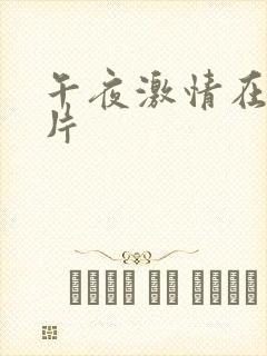 午夜激情在线看片