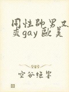 同性帅男又粗又爽gay 欧美