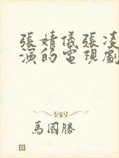 张婧仪张凌赫主演的电视剧