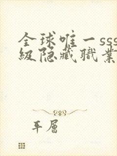 全球唯一sss级隐藏职业