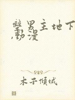 双男主地下偶像,动漫封面