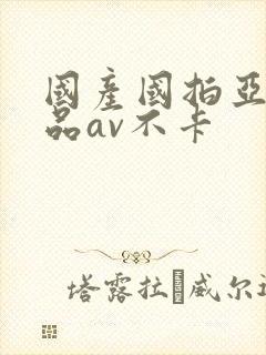 国产国拍亚洲精品av不卡