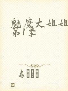 魅魔大姐姐动漫第1季封面