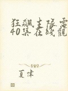 狂飙支队电视剧40集在线观看免费封面