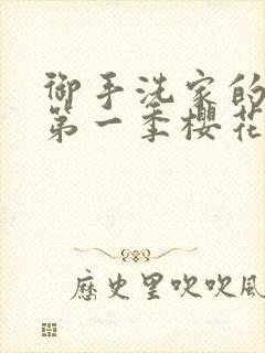 御手洗家的破洞第一季樱花动漫