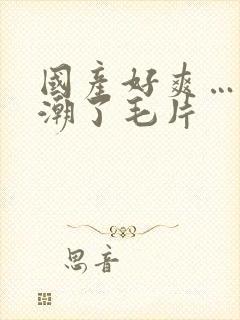 国产好爽…又高潮了毛片