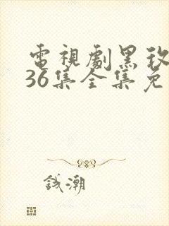 电视剧黑玫瑰第36集全集免费观看