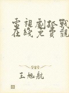 电视剧孤战迷城在线免费观看封面