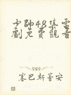 少帅48集电视剧免费观看