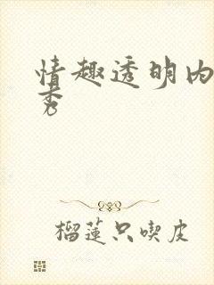 情趣透明内衣走秀封面