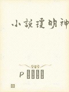 小说琼明神女录