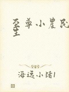 至尊小农民王木生