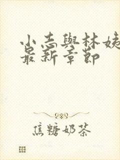 小志与林姨小说最新章节