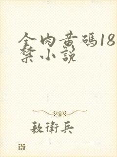 全肉黄码18无禁小说