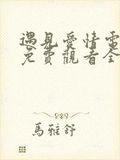 遇见爱情电视剧免费观看全集高清