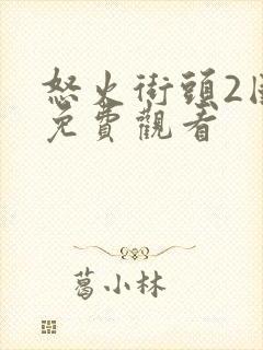 怒火街头2国语免费观看