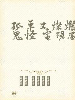 孤单又灿烂的神鬼怪 电视剧