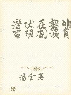 潜伏在黎明之前电视剧演员表封面