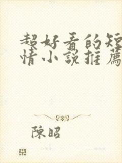 超好看的短篇言情小说推荐封面