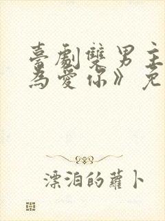 台剧双男主《因为爱你》免费观看