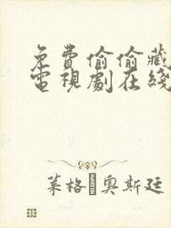 免费偷偷藏不住电视剧在线观看