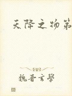 天降之物第一季