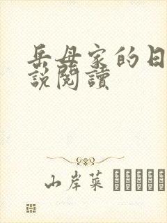 岳母家的日子小说阅读