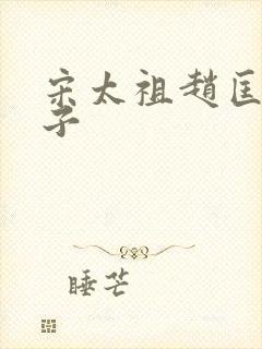 宋太祖赵匡胤儿子