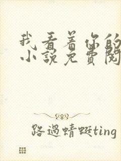 我看着你的时候小说免费阅读