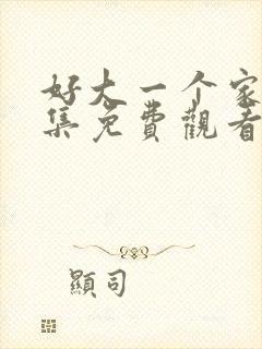 好大一个家40集免费观看