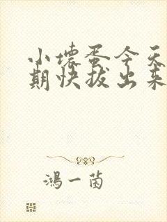 小坏蛋今天危险期快拔出来封面