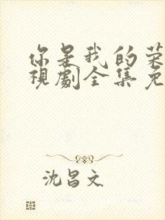 你是我的荣耀电视剧全集免费西瓜封面