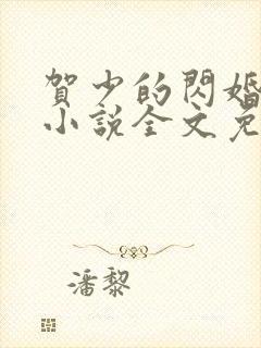 贺少的闪婚暖妻小说全文免费