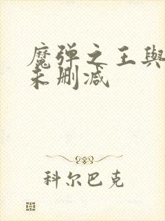 魔弹之王与战姬未删减