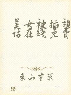 美女被插视频网站在线免费观看