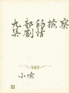 九部的检察官分集剧情