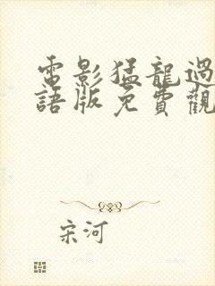 电影猛龙过江国语版免费观看封面