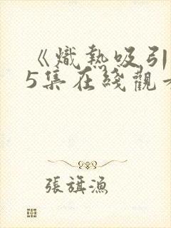 《炽热吸引》25集在线观看