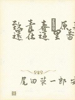 致青春·原来你还在这里番外篇