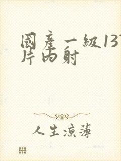 国产一级137片内射