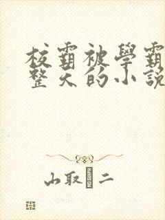 校霸被学霸罚一整天的小说笔趣阁封面