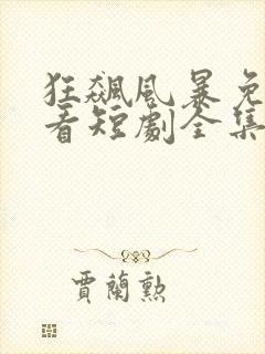 狂飙风暴免费观看短剧全集封面